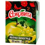 Grape apple juicy drink. Sokovita 200ml TetraPak Ukraine