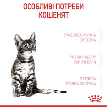 Набор корма Royal Canin для стерилизованных котят сухой 2кг + влажный 4шт х 85г - купить, цены на MasterZoo - фото 6