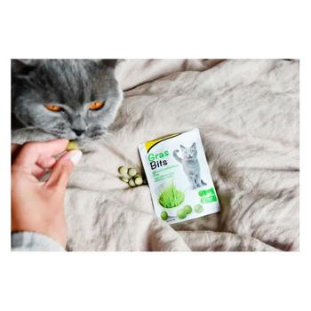 Ласощі для котів GimCat Gras Bits з травами 425г - купити, ціни на - фото 2