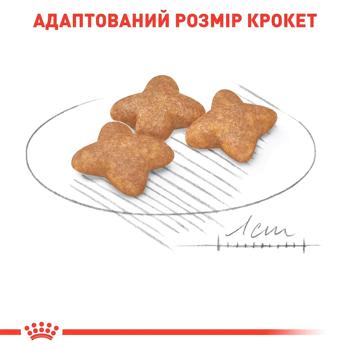 Корм сухий Royal Canin Adult з домашньою птицею для собак малих порід 7+1кг - купити, ціни на MasterZoo - фото 5