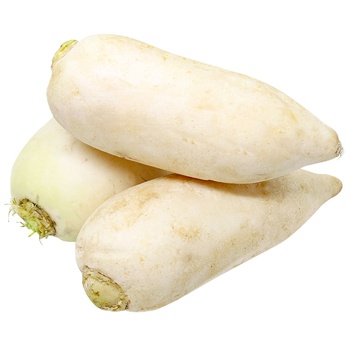 Daikon Radish - buy, prices for METRO - photo 1