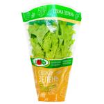 Салат листовой в горшке, шт