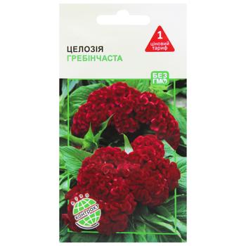 Agrokontrakt Celosia Crested Seeds 0.3g