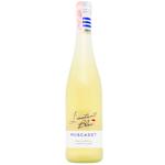 L'Instant Bleu Muscadet White Dry Wine 12% 0.75l