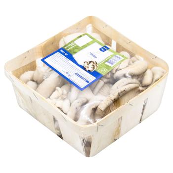 Metro Chef Oyster Mushrooms 500g