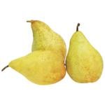 Груша велика Україна