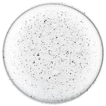 Миска Arjan Impex Premium Ribbed Speckle металева 470мл білий - купити, ціни на MasterZoo - фото 3