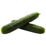 Cucumber Spain