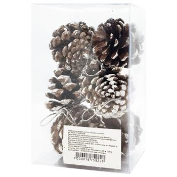 Set of Natural Pine Cones with White Tips 6pcs