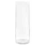 Special Transparent Cylindrical Glass Vase 12*50cm