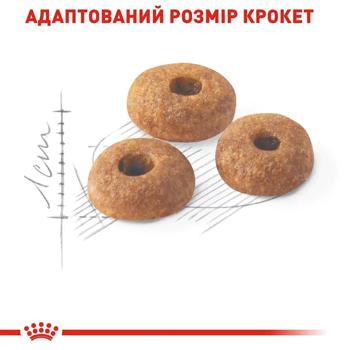 Набір корму Royal Canin Fit 32 для домашніх та вуличних котів cухий 2кг + вологий 4шт х 85г - купити, ціни на MasterZoo - фото 5