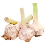 Young Garlic