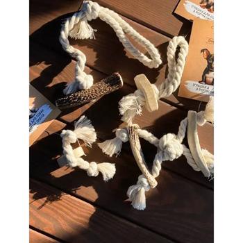 Toy Dogsrogs - buy, prices for MasterZoo - photo 2