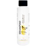 Shampoo Iv san bernard 100ml Italy