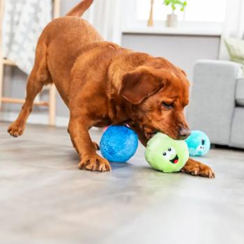 Trixie Ball in Display іграшка для собак - модель в асортименті - купить, цены на MasterZoo - фото 6