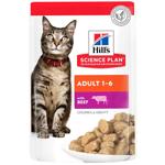 Cat food Hill's beef 85g pouch