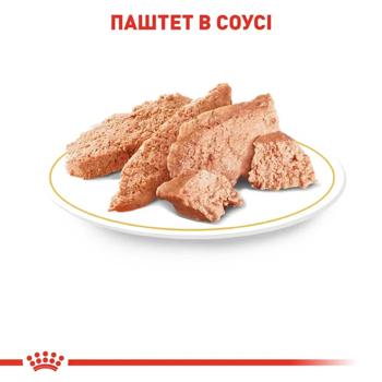 Корм влажный Royal Canin Adult с домашней птицей для собак породы чихуахуа 9+3шт*85г - купить, цены на MasterZoo - фото 5