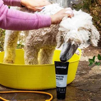 Shampoo 250ml - buy, prices for MasterZoo - photo 6