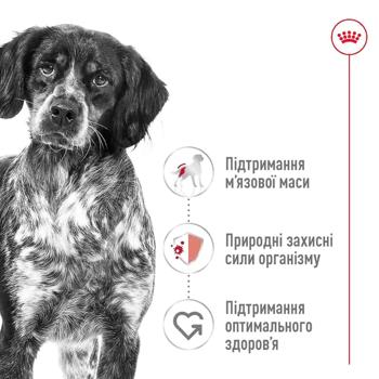 Royal Canin Adult Dry Food for Dogs of Medium Breeds 3.2+800g - buy, prices for MasterZoo - photo 3