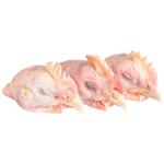 Голова куряча охолоджена