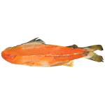 Samyy Smak Cold Smoked Salmon Spine