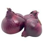 Egypt Red Onion