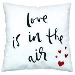 Tigres Love is in the Air Valentine Pillow