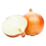 Onion