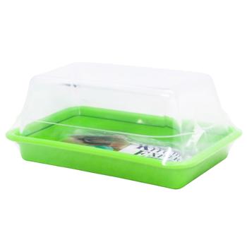 Plastic Butter Dish 11031 - buy, prices for - photo 4