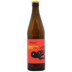 Stu Mostów Tropical Gose Light Unfiltered Beer 4.6% 0.5l