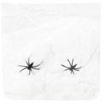 Scenery White Cobweb with Spiders