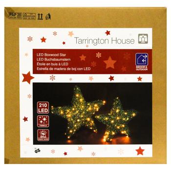 Tarrington House Boxwood Star 210LED 2pcs - buy, prices for - photo 3