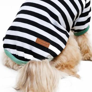 Футболка для собак Pet Fashion Breeze р.XS2 біло-чорний - купити, ціни на MasterZoo - фото 8