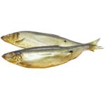 Оселедець Fish Good холодного копчення