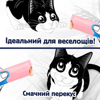 Корм дополнительный Felix Deli Moments с лососем для взрослых и пожилых кошек 40г - купить, цены на MasterZoo - фото 4