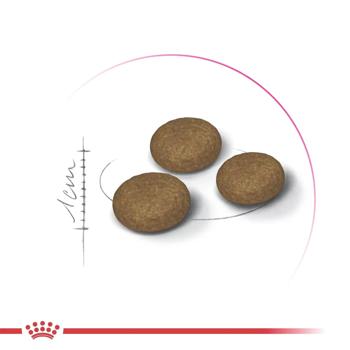 Корм сухой Royal Canin Fussy Exigent для привередливых кошек 2кг - купить, цены на MasterZoo - фото 2