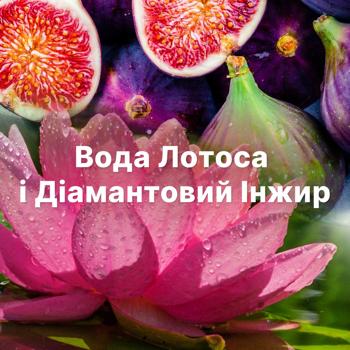 Ополіскувач для білизни Lenor Діамантовий інжир та вода лотоса 700мл - купити, ціни на - фото 7
