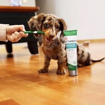 Зубна щітка та паста Vet`s Best Dental Care Kit 103 мл - купити, ціни на MasterZoo - фото 5