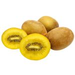 Gild Kiwi