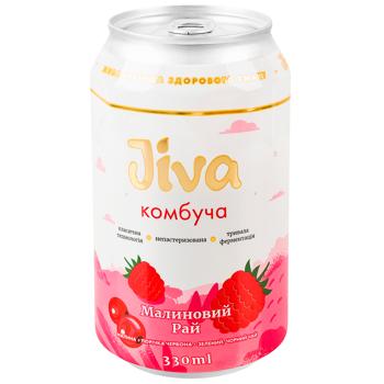 Jiva Raspberry Paradise Kombucha 0.33l - buy, prices for WINETIME - photo 1