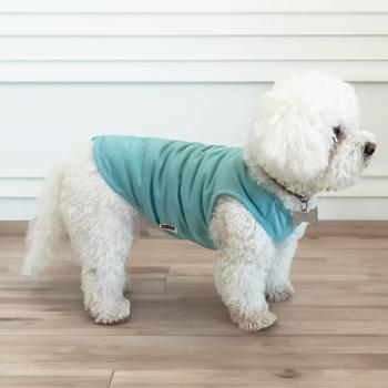 Pet Fun Tank Top for Dogs s.S Blue - buy, prices for MasterZoo - photo 3