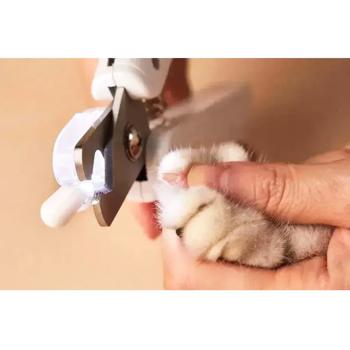 Nail clipper Petkit - buy, prices for MasterZoo - photo 7