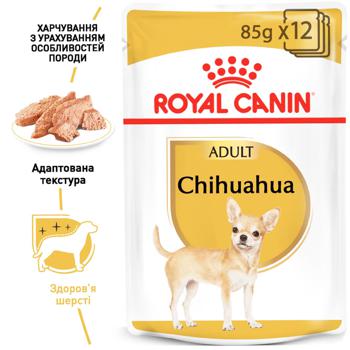 Royal Canin For Adult Chihuahua Dogs 85g - buy, prices for Vostorg - photo 2