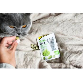 Ласощі для котів GimCat Gras Bits з травами 40г - купити, ціни на MasterZoo - фото 3