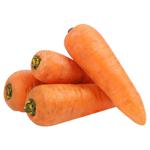 Carrot