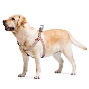 Leash Collar - buy, prices for MasterZoo - photo 4