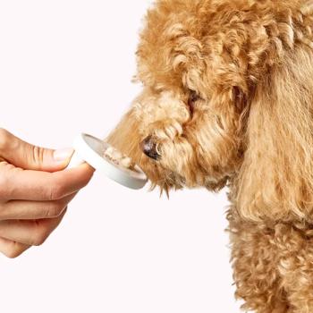 Ласощі для собак Delickcious Creamy Snack з качкою та журавлиною 4шт*15г - купити, ціни на MasterZoo - фото 7