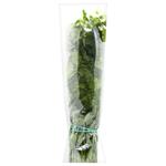 Parsley Bundle 250g