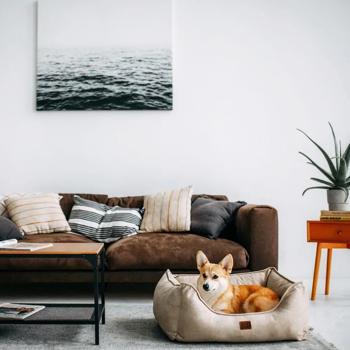 Лежак Noble Pet Leon 55x45х18см пісочний - купити, ціни на КОСМОС - фото 4