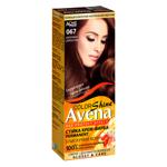 AVENA Shine Color 067 Cappuccino Permanent Cream Hair Dye